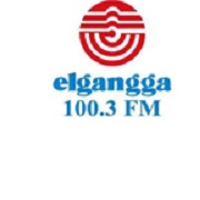 Elgangga FM